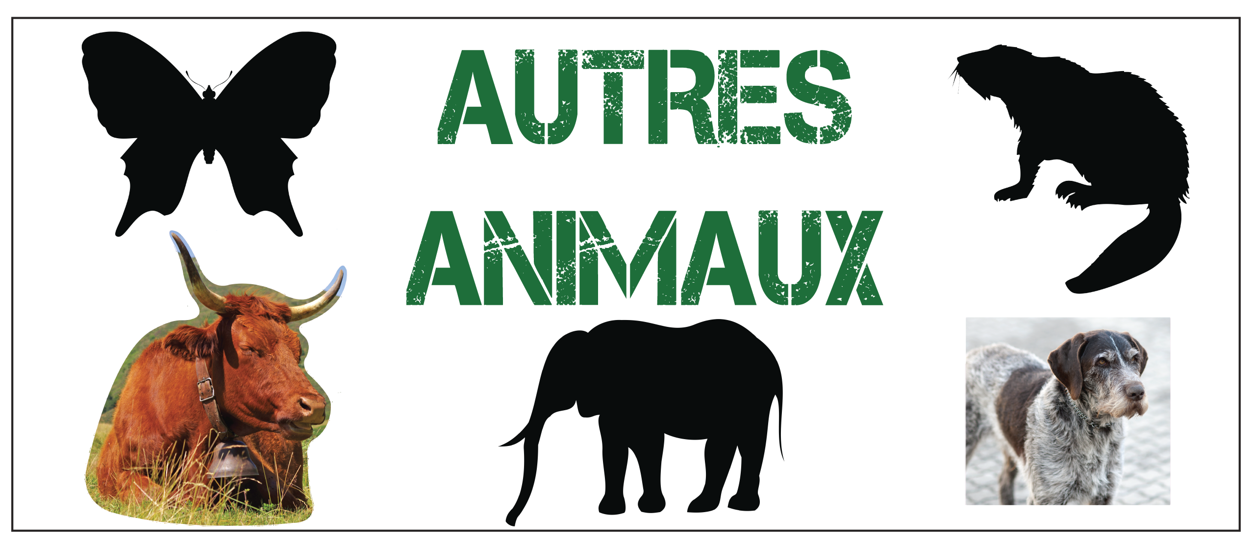AUTRES ANIMAUX