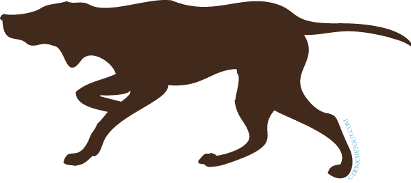 Chien de chasse