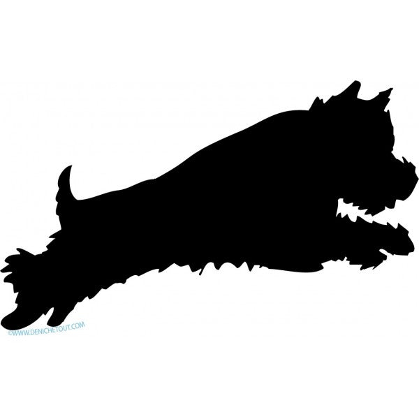 FRISON