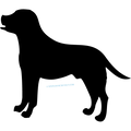 LABRADOR