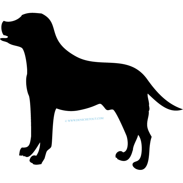 LABRADOR