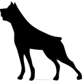 ROTVELLER