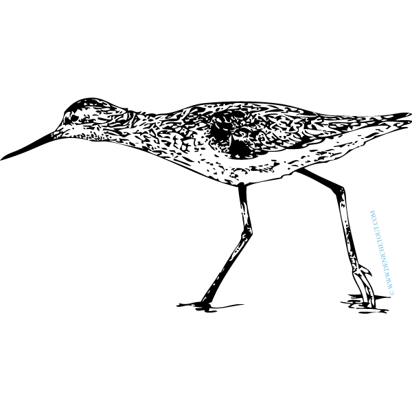 CHEVALLIER