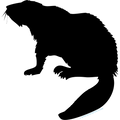 CASTOR