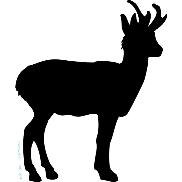 CHEVREUIL