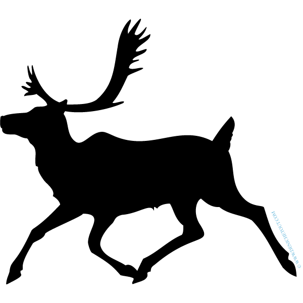 CARIBOU