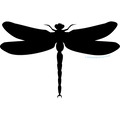 LIBELLULE