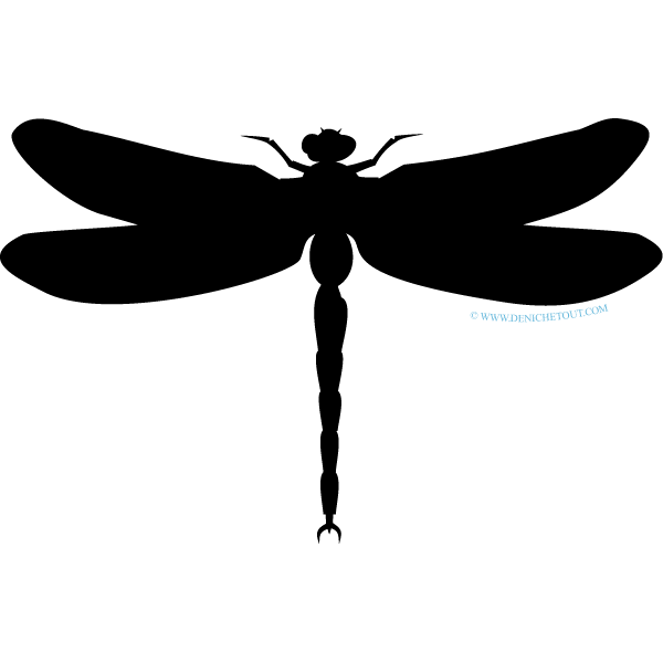 LIBELLULE