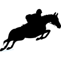 CHEVAL Saut