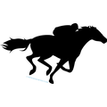 CHEVAL Course