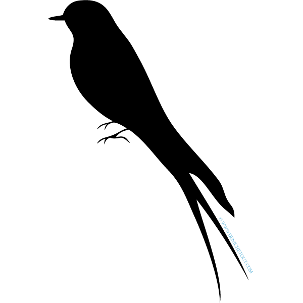 HIRONDELLE