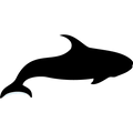 REQUIN