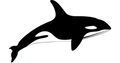 ORQUE