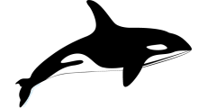 ORQUE