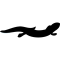 SALAMANDRE