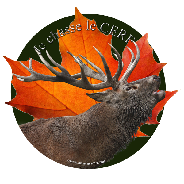 Je chasse le cerf