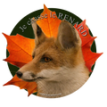 Je chasse le renard