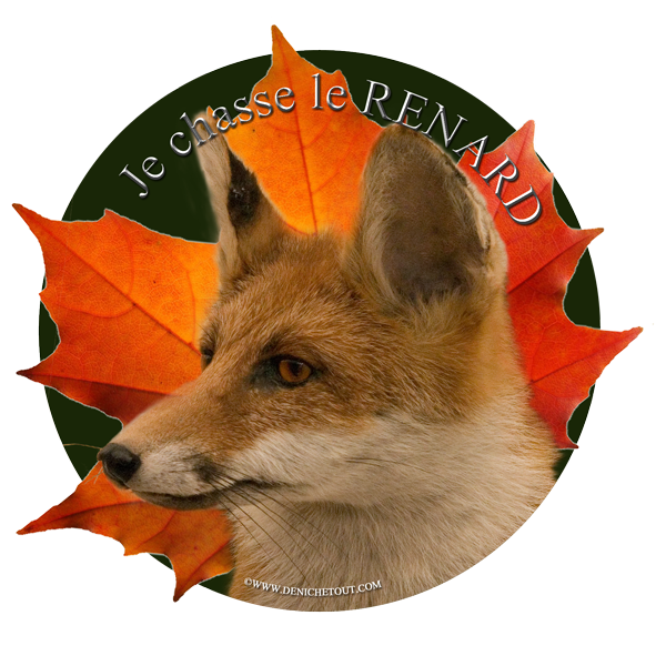 Je chasse le renard