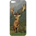 Sticker Iphone 5 / 5S