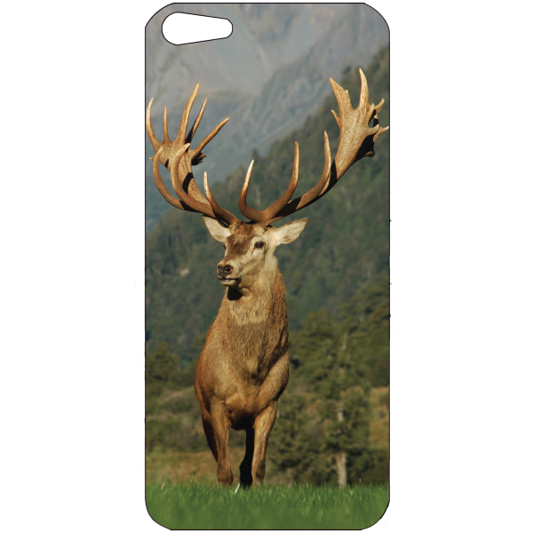 Sticker Iphone 5 / 5S