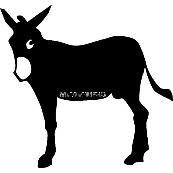 Ane