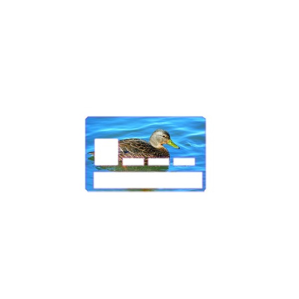 Carte de crédit Cane
