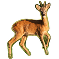 Chevreuil
