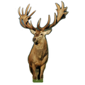 Cerf Face