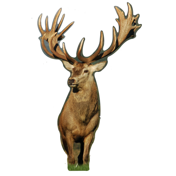 Cerf Face