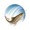Poisson Pêche