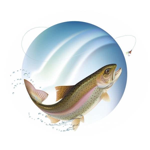 Poisson Pêche
