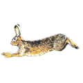 Lièvre