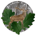 Je chasse le Cerf 2