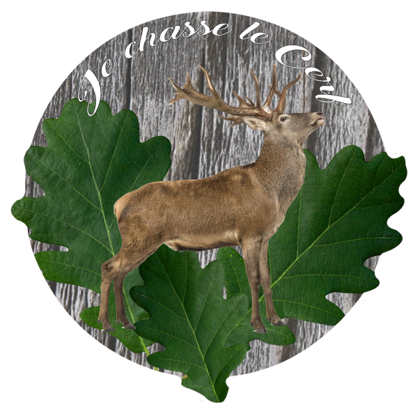 Je chasse le Cerf 2