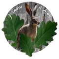 Je chasse les Lievre 2
