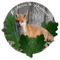 Je chasse le Renard 2