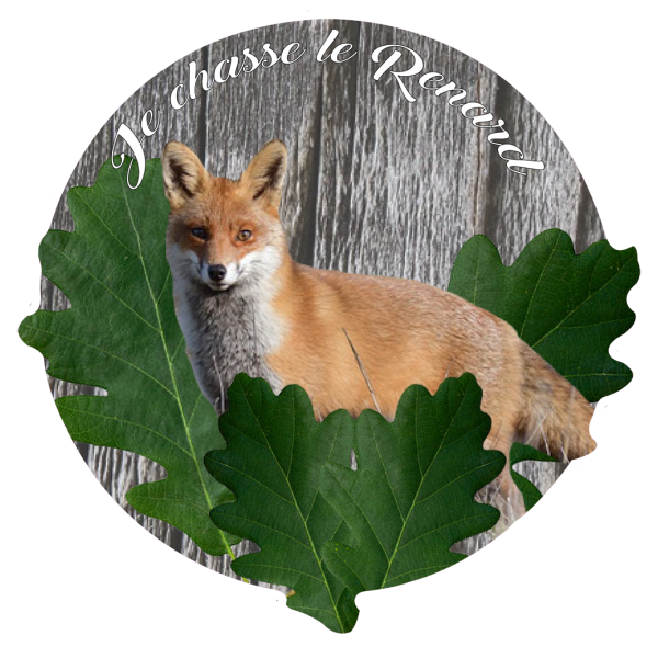 Je chasse le Renard 2