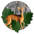 Je chasse le Chevreuil 2