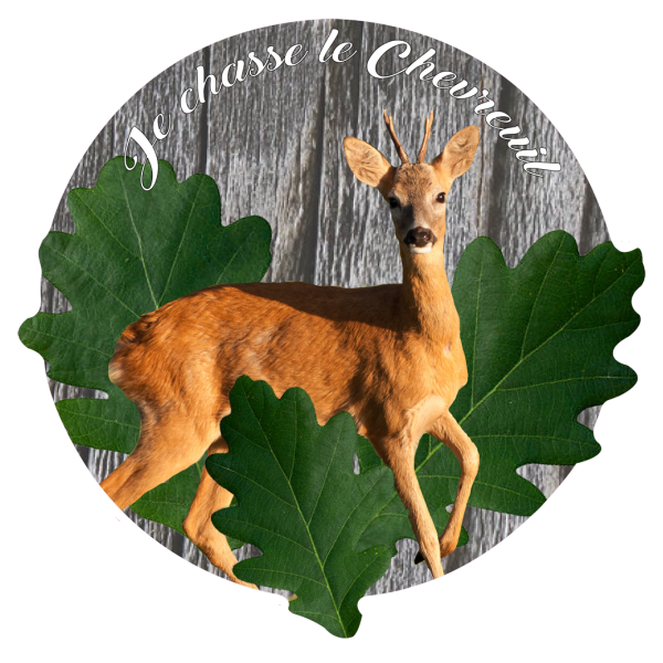 Je chasse le Chevreuil 2
