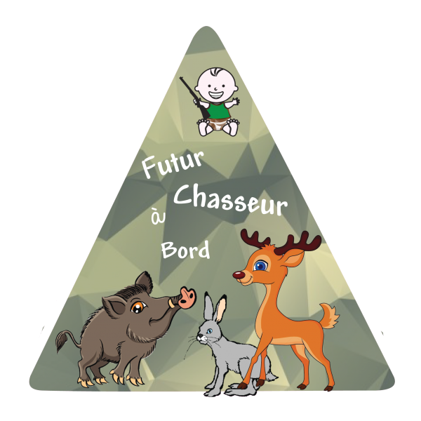 Futur chasseur a Bord 2