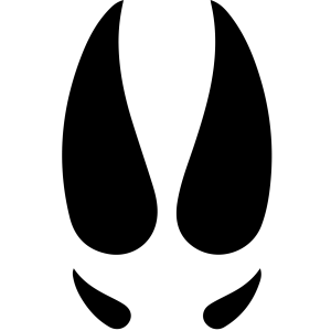 EMPREINTE SANGLIER