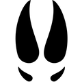 EMPREINTE SANGLIER