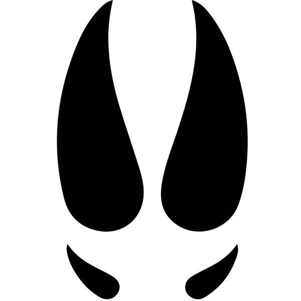 EMPREINTE SANGLIER